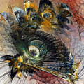 Peacock Fan